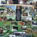 Lucette Guest House, Пицунда — честный обзор гостевого дома