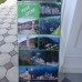 Lucette Guest House, Пицунда — честный обзор гостевого дома