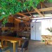 Guesthouse Pekan в Пицунде: честный обзор гостевого дома