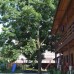 Guesthouse Pekan в Пицунде: честный обзор гостевого дома