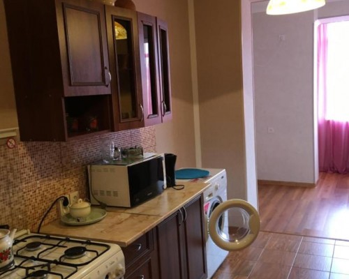 Apartment Citrusovyj sovhoz, Пицунда: квартира в Цитрусовом