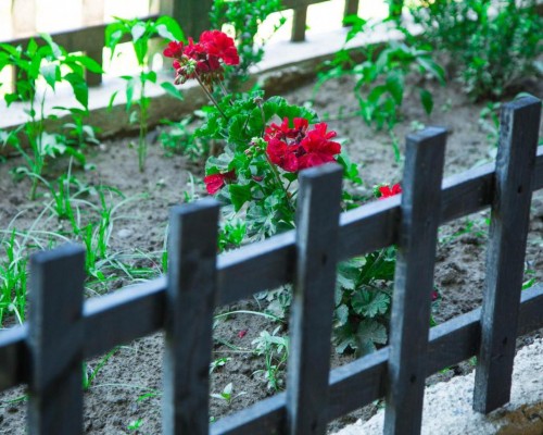 Lilly Guest House в Пицунде — честный обзор гостевого дома