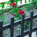 Lilly Guest House в Пицунде — честный обзор гостевого дома
