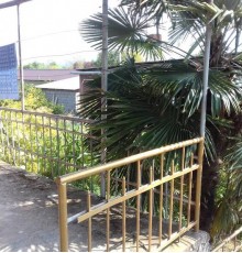 Guest House Zelenaya Roscha