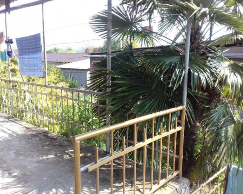 Guest House Zelenaya Roscha в Пицунде: что важно знать перед бронированием