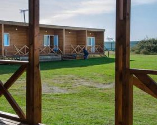 Guest house Toriya в Пицунде: что известно на самом деле