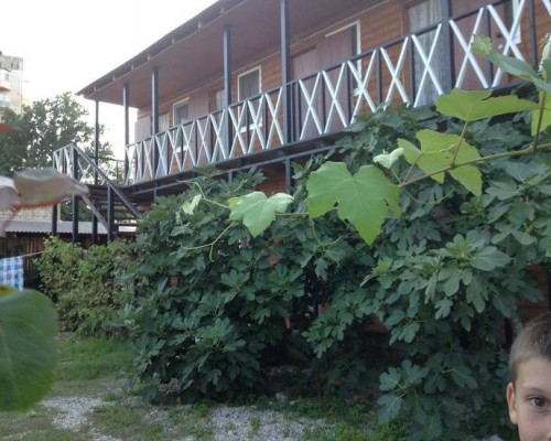Guest house Pizunda в Пицунде: гостевой дом без категории