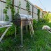 Guest House Sunrise в Пицунде