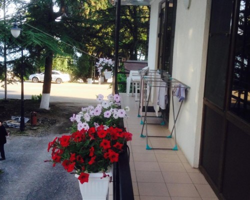 MiR Guest House 3* в Новом Афоне — что важно знать до брони