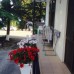 MiR Guest House 3* в Новом Афоне — что важно знать до брони