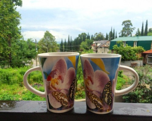 ArLe Guest House, Новый Афон: честный обзор гостевого дома