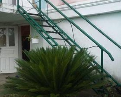 Gayane Guest House в Новом Афоне: честный обзор гостевого дома