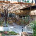 Pine Valley Hotel Oludeniz 4* — Фетхие, Турция