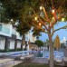 Zest Exclusive Hotel в Бодруме: взгляд турагента
