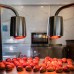 Mira Meridia Beach Resort 5* в Окурджалар: экспертный обзор турагента