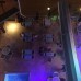 Hotel London Blue, Мармарис: подбор тура с Галиной
