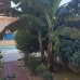 Atmaca Villa, Махмутлар: честный обзор и подбор тура