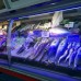 Alden 2 в Махмутларе: честный обзор и подбор тура