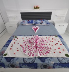 NL, 1 B/R Apartment Angels Home Alex