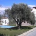 Camtepe Villas в Кушадасы: что это за виллы на самом деле