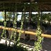 As Queen Beach Hotel 3* в Кызылоте: честный обзор от турагента
