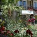 Sultan Homes Apartments в Кемере: апартаменты для пляжного отдыха