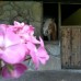Oranj Ranch Hotel, Кемер: подбор тура у персонального турагента