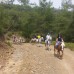 Oranj Ranch Hotel, Кемер: подбор тура у персонального турагента