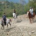 Oranj Ranch Hotel, Кемер: подбор тура у персонального турагента
