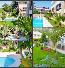 Sultan Homes Holiday