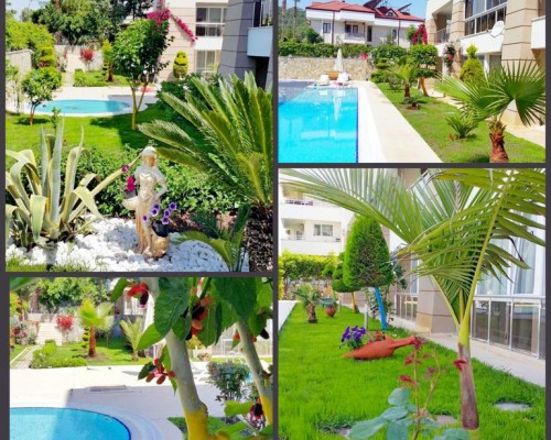 Sultan Homes Holiday, Кемер: честный обзор от турагента