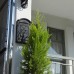 Kemer Pansiyon — бюджетный пансион в Кемере