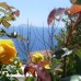 Villa on the Kas Beach в Каше: что это за отель