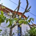 Villa Kaktus в Каше: что известно об отеле