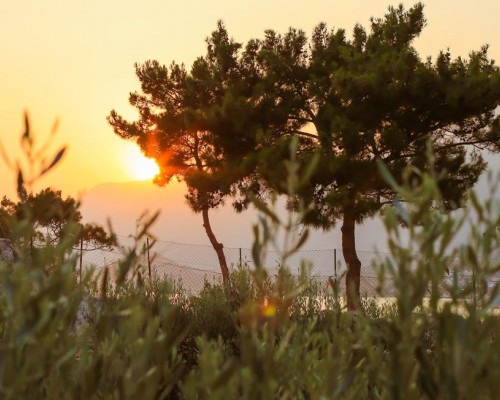 Lycian Way Apart в Каше: апартаменты для самостоятельного отдыха