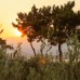 Lycian Way Apart в Каше: апартаменты для самостоятельного отдыха
