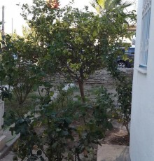 Demre Apart