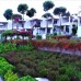Sunset Mavi, Тургутреис — подбор тура от персонального агента
