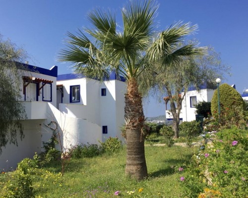 My House Bodrum Holiday Village (Тургутрейс, Турция): взгляд турагента