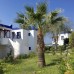 My House Bodrum Holiday Village (Тургутрейс, Турция): взгляд турагента
