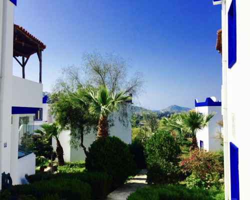 My House Bodrum Holiday Village (Тургутрейс, Турция): взгляд турагента