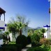 My House Bodrum Holiday Village (Тургутрейс, Турция): взгляд турагента