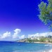My House Bodrum Holiday Village (Тургутрейс, Турция): взгляд турагента