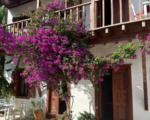 Отель Courtyard в Калкане