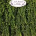 Lavender's Lodge Hotel в Калкане: честный обзор