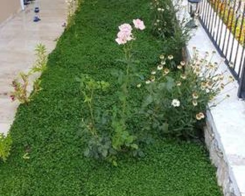 Villa Oz, Калкан — что это за отель и кому он подойдёт