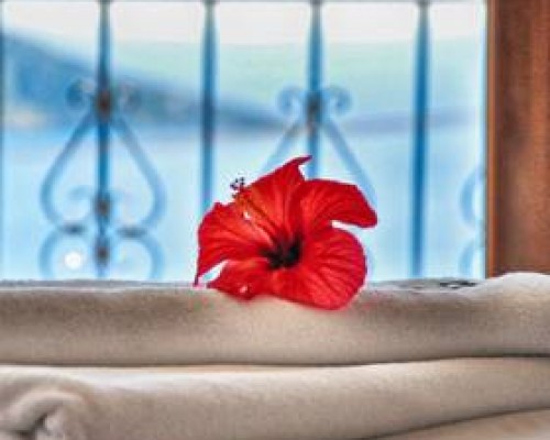 Villa Buy Vista 1 в Калкане: что известно об этой вилле