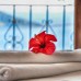 Villa Buy Vista 1 в Калкане: что известно об этой вилле