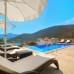 Villa Colibri в Калкане: честный обзор без прикрас