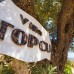 Villa Topcu в Калкане: что это за отель на самом деле